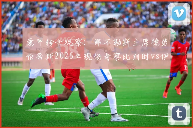 意甲转会观察：那不勒斯主席德劳伦蒂斯2026年现场考察比利时vs伊朗，重点引援目标浮现