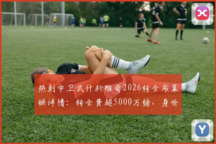 热刺中卫武什科维奇2026转会布莱顿详情：转会费超5000万镑，身价与前景深度分析