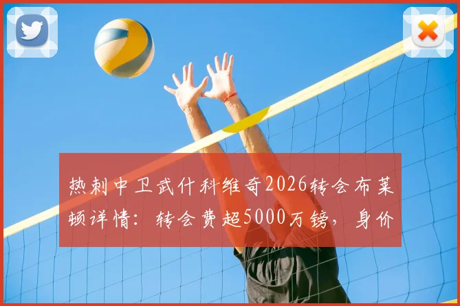 热刺中卫武什科维奇2026转会布莱顿详情：转会费超5000万镑，身价与前景深度分析